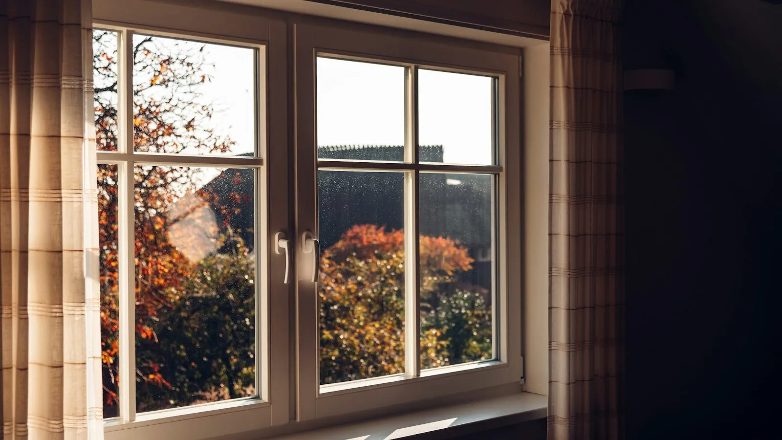 Closed double window with curtains, looking out at fall trees