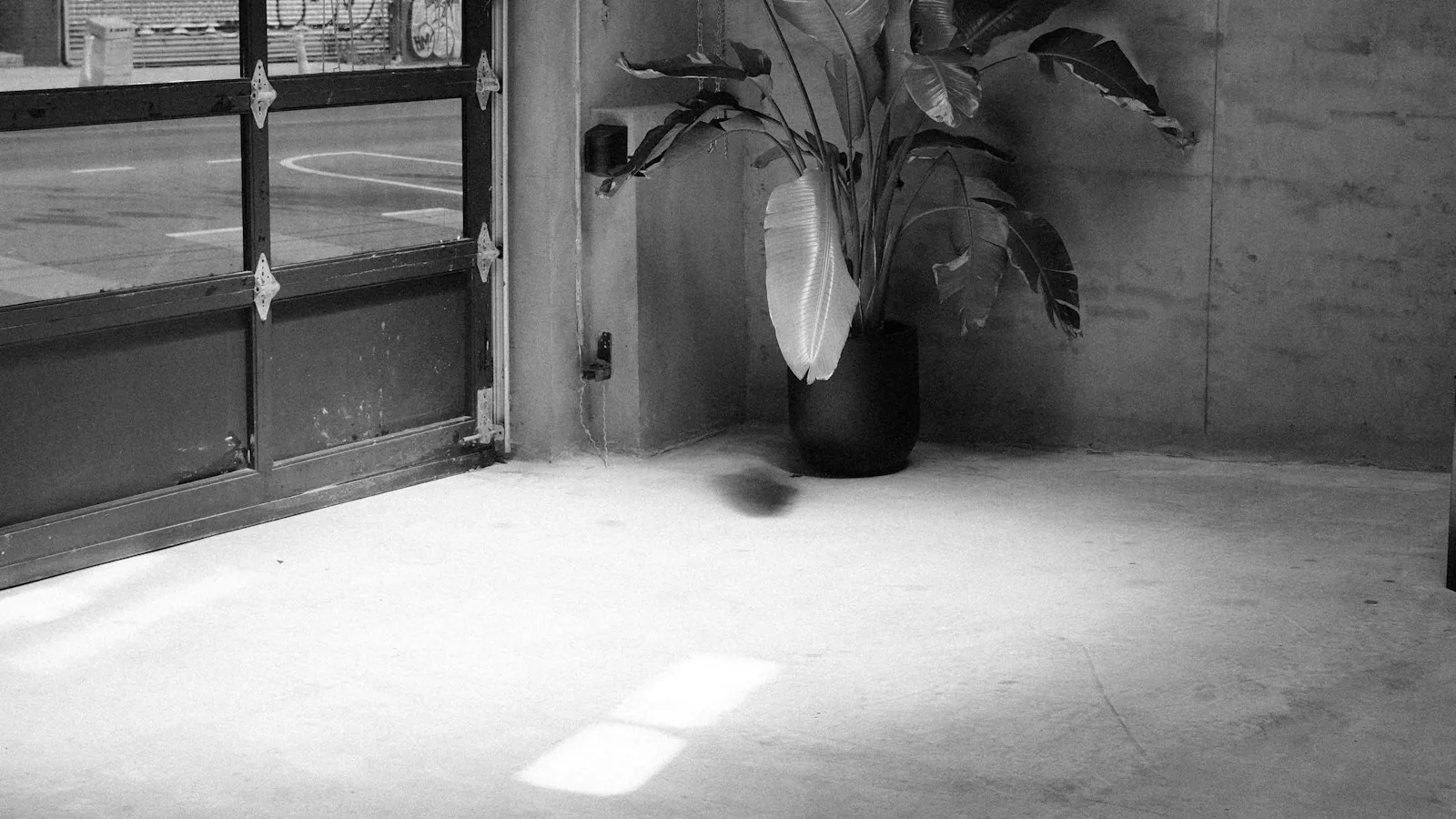 Concrete garage interior with an overhead glass door and a plant in the corner