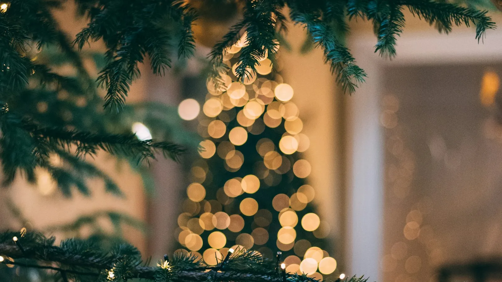 Christmas tree with string lights glowing in the background